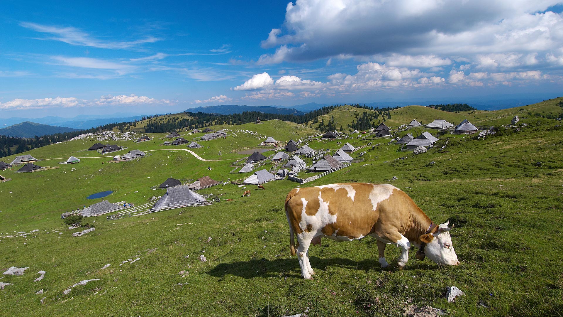 Slovinsko Kamnicko-Savinjské Alpy Veliká planina