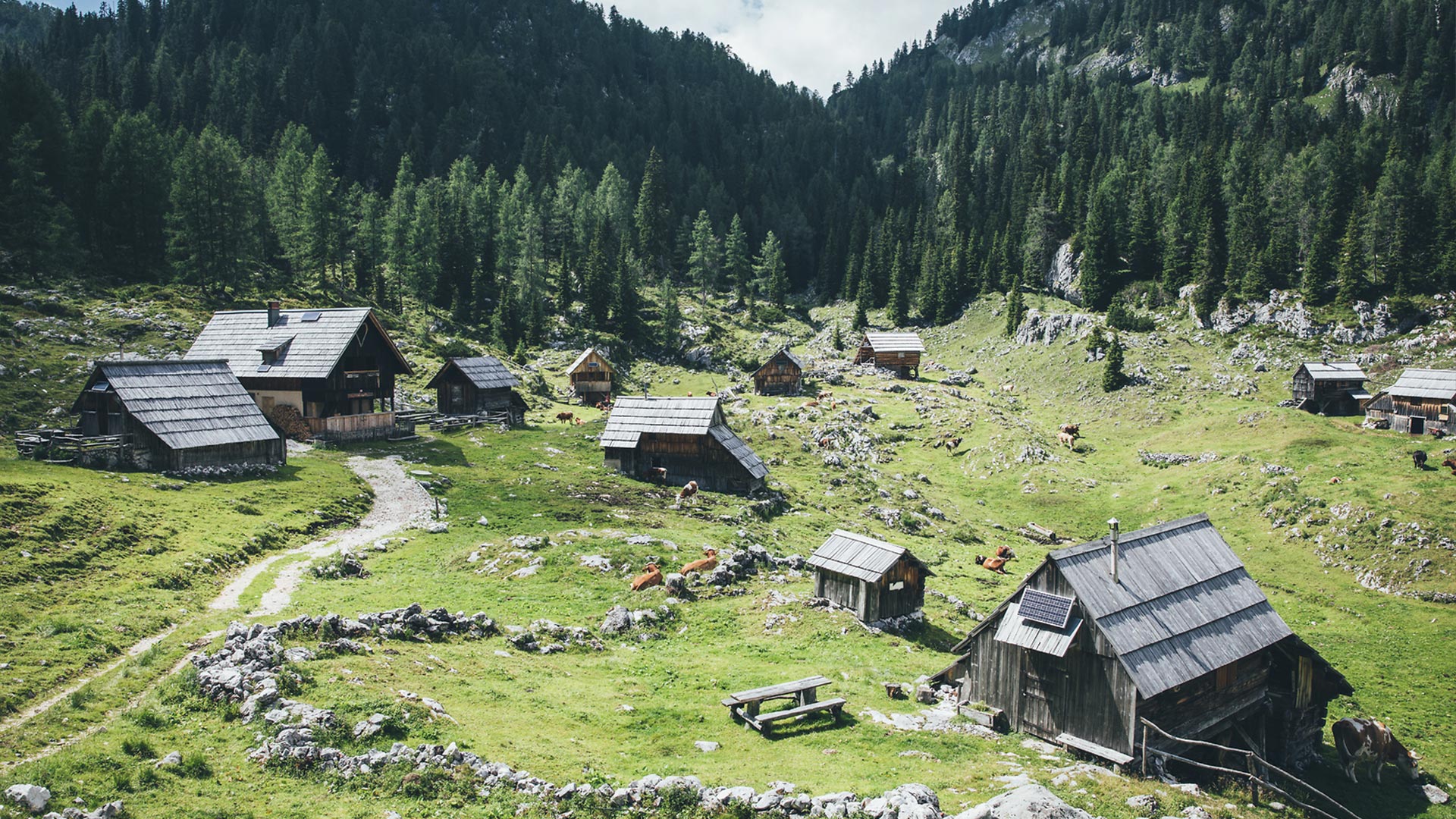 Slovinsko Julské Alpy Triglavský národní park (TNP)