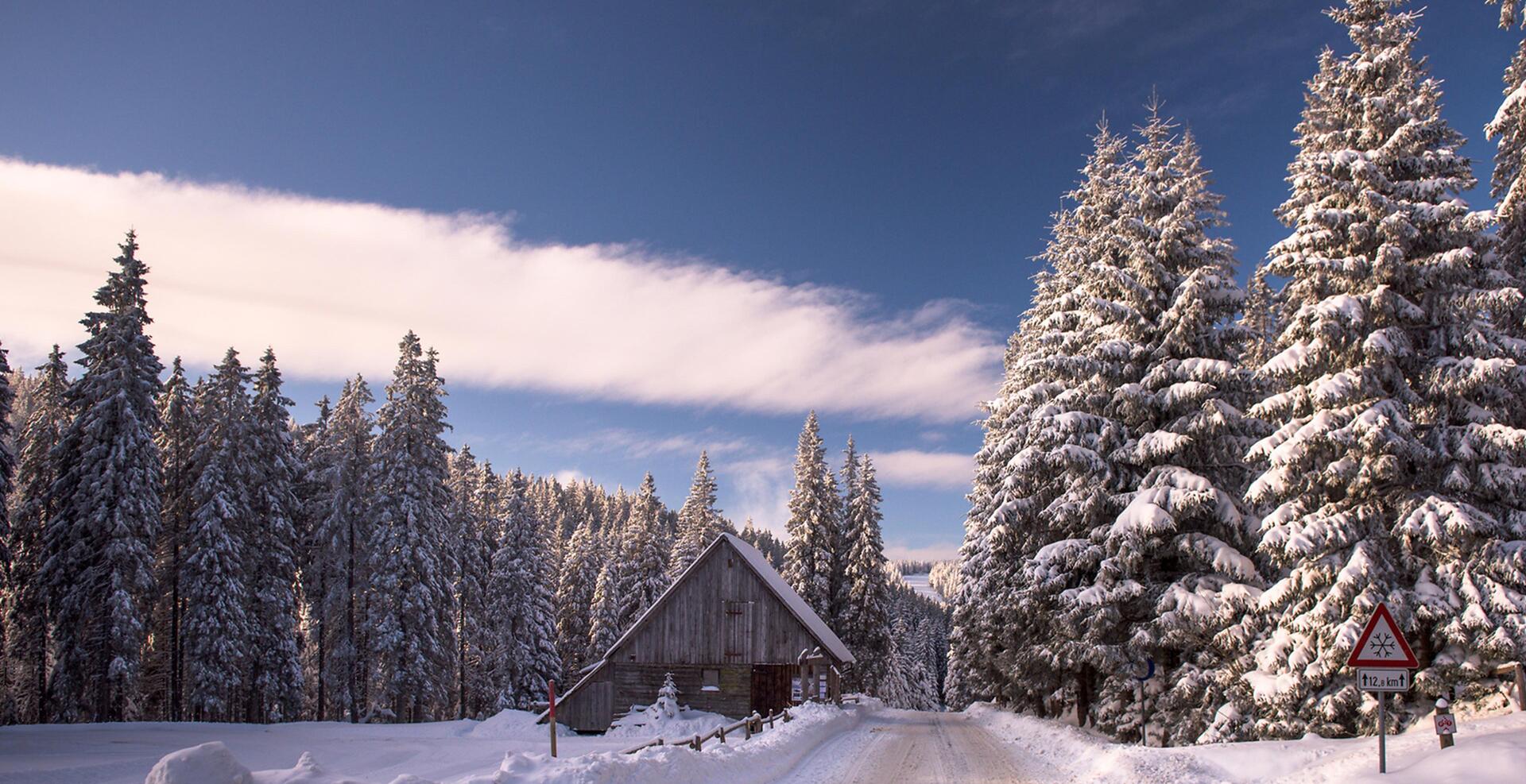 Slovinsko Rogla – Pohorje