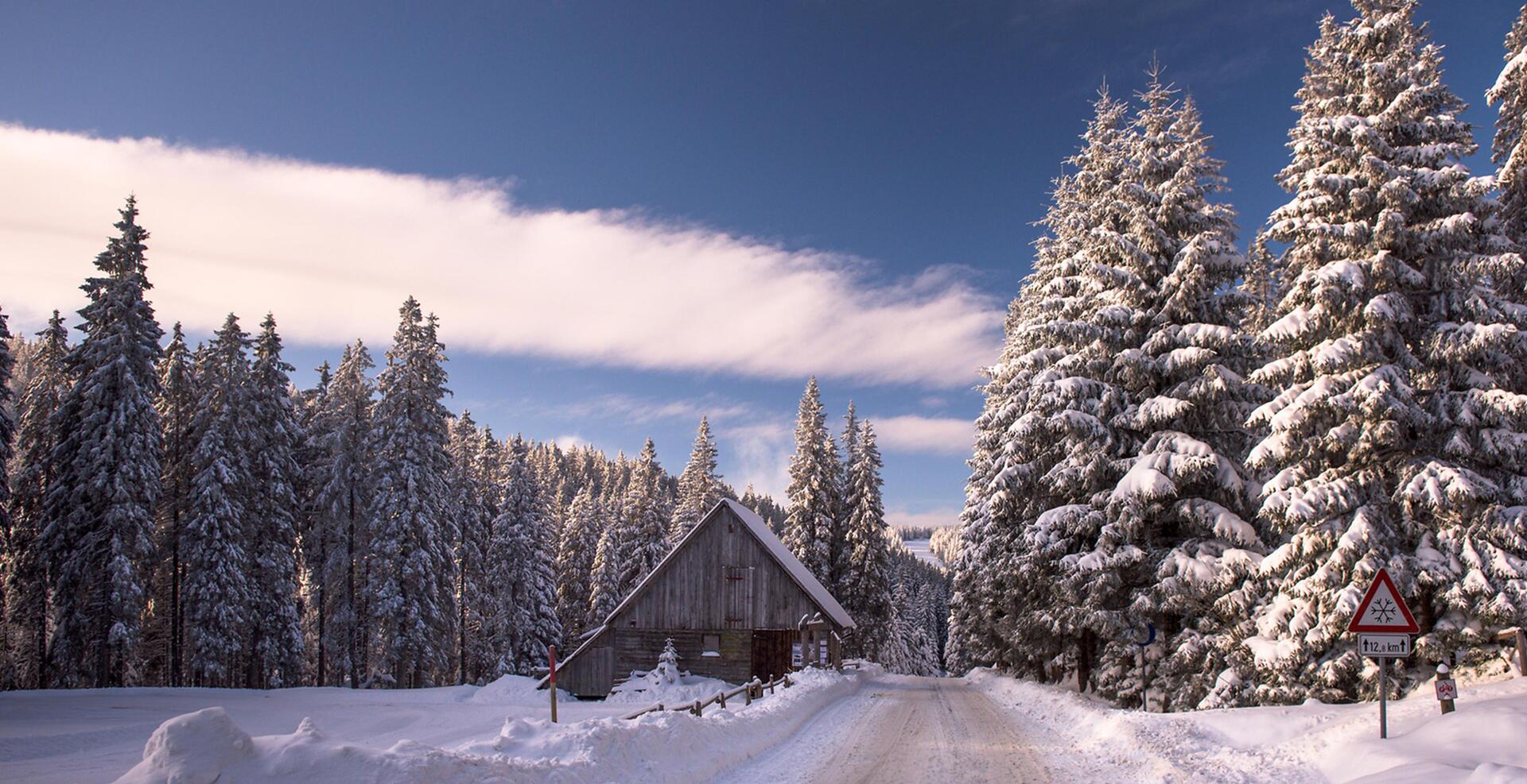Slovinsko Rogla - Pohorje