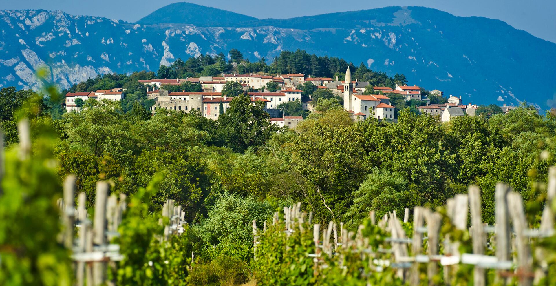 Slovinsko Slovinský Kras Štanjel