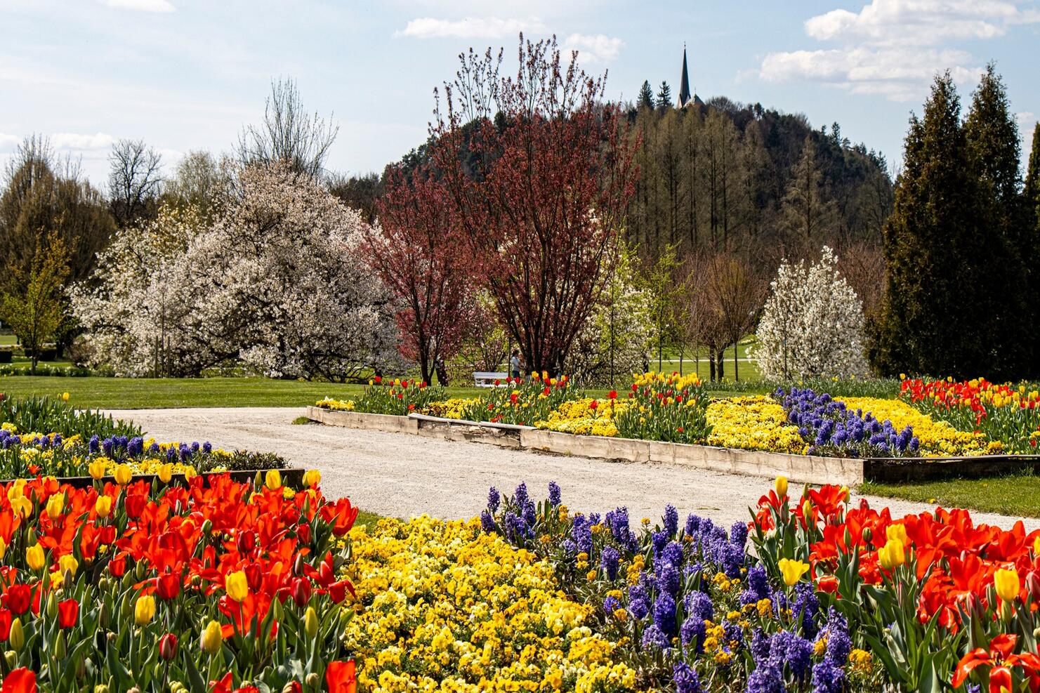 Slovinsko_Arboretum_Volčji Potok