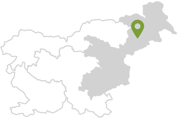 Mapa Rogaška Slatina