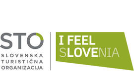 I Feel Slovenia