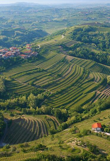 Slovinsko Julské Alpy Goriška Brda