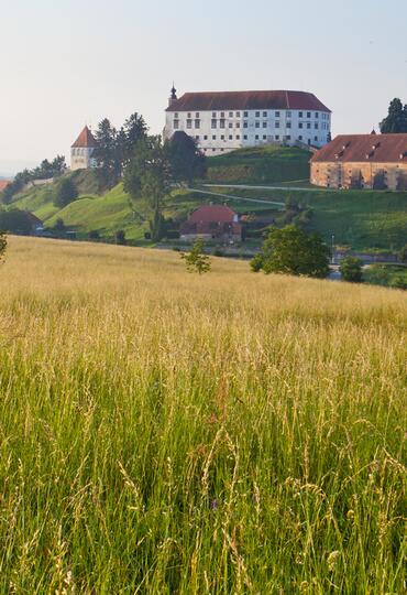 Slovinsko Termální Panonské Slovinsko Ptuj