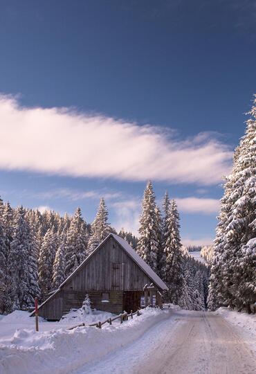 Slovinsko Rogla - Pohorje