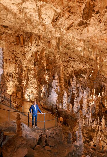 Slovinsko Slovinský Kras Postojenská jeskyně