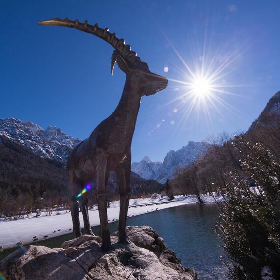 Slovinsko Kranjska Gora 