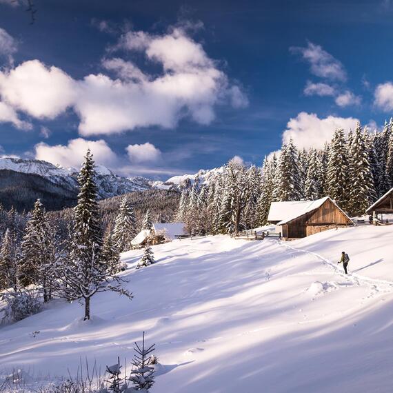 Slovinsko Pokljuka 