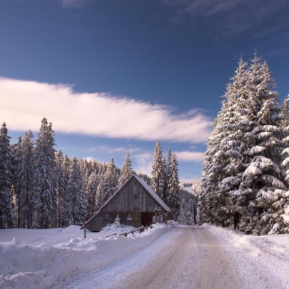 Slovinsko Rogla