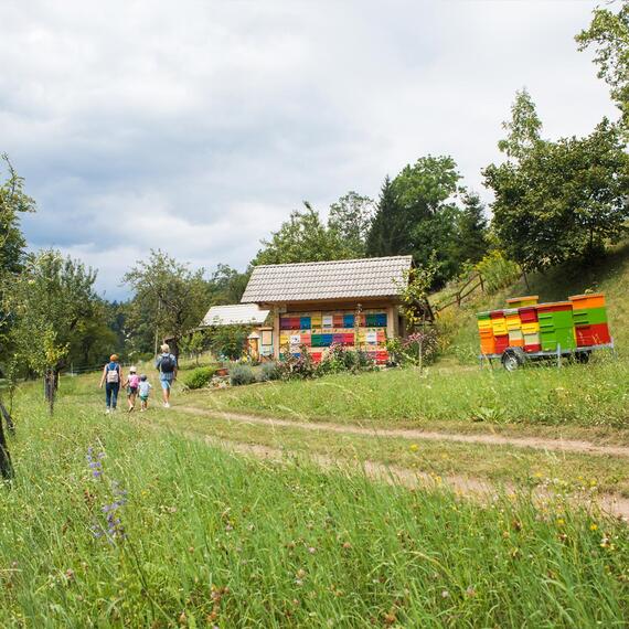 Muzeum ve Veržeji