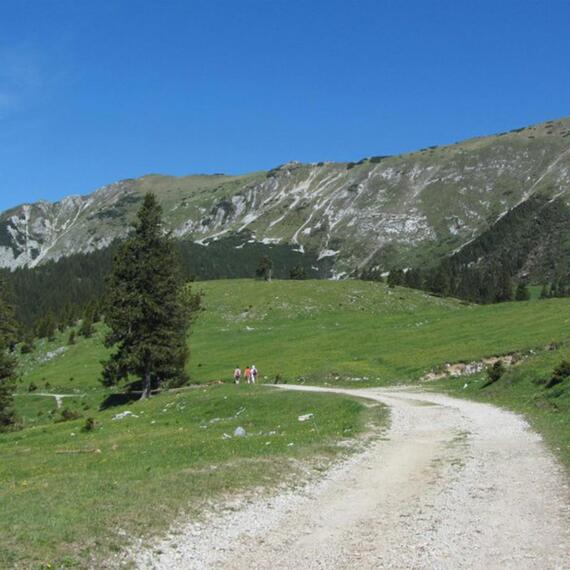 Turistická stezka Pastviny pod Košutou 