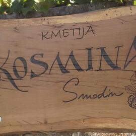 Farma Kosmina